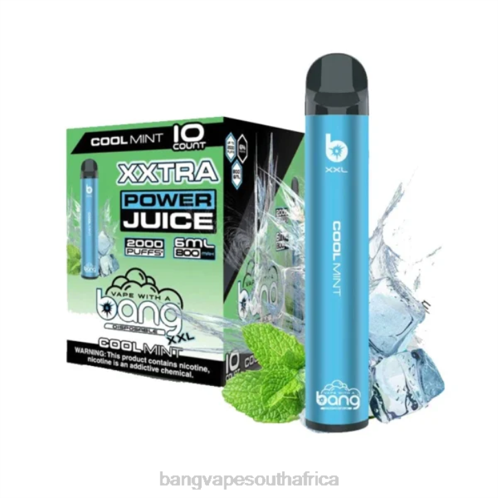 Gang vape price - Cool Mint Bang Vape XXL 2000 puffs X0VV16