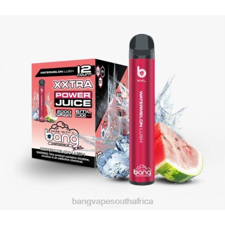 Gang vape price - Watermelon Lush Bang Vape XXL 2000 puffs X0VV26